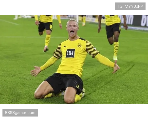 弗拉霍维奇与哈兰德终结能力差异解析：射术效率与禁区威胁对比